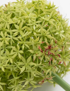 Allium spray kunstbloem H90cm - Groen