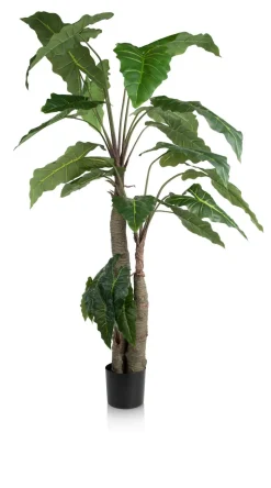Alocasia Giant Tree H180cm kunstplant - Groen