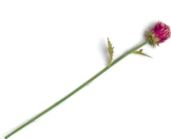 Artichoke Stem H80cm - Roze