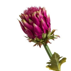 Artichoke Stem H80cm - Roze