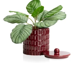 Bisko pot H16.5cm - Bordeaux