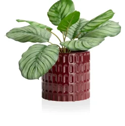 Bisko pot H16.5cm - Bordeaux