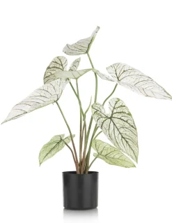 Caladium H60cm kunstplant - Groen