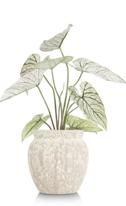 Caladium H60cm kunstplant - Groen
