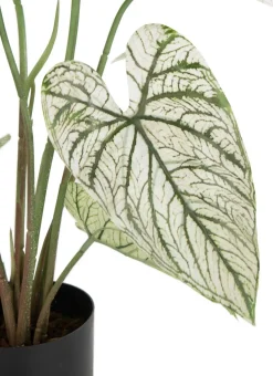 Caladium H60cm kunstplant - Groen