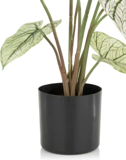 Caladium H60cm kunstplant - Groen