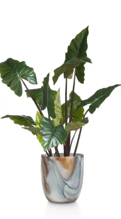 Colocasia H130cm - Groen