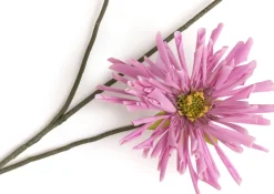 Dahlia Spider Spray kunstbloem H75cm - Paars