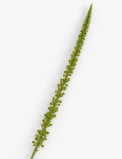 Donkey Tail kunstbloem H86cm - Groen
