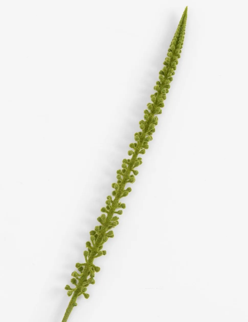 Donkey Tail kunstbloem H86cm - Groen