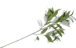 Eucalypthus Spray H93cm - Groen