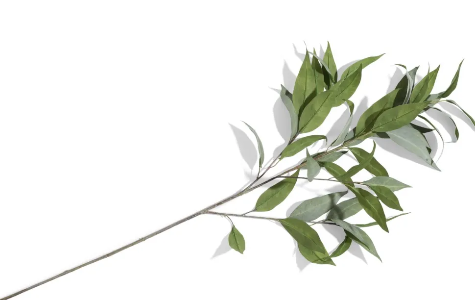 Eucalypthus Spray H93cm - Groen