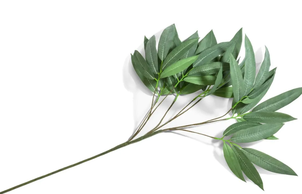 Eucalyptus branch H95cm - Groen