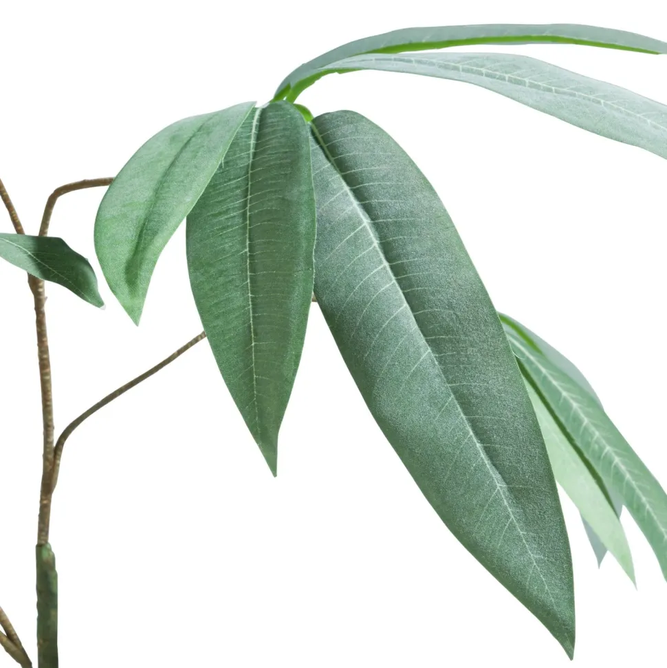 Eucalyptus branch H95cm - Groen