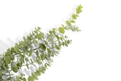 Eucalyptus Hanging Vine H120cm kunstbloem - Groen