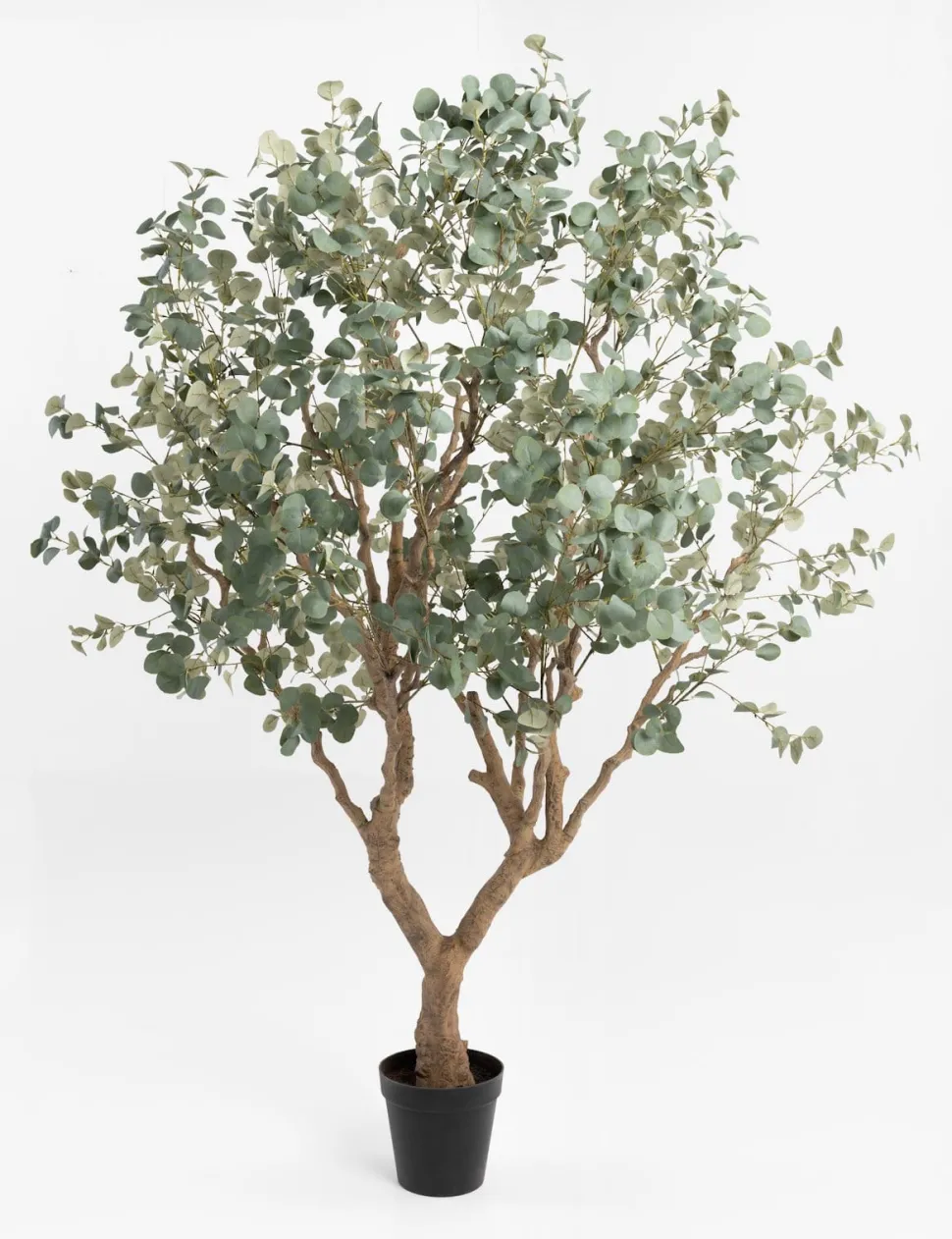 Eucalyptus Tree kunstplant H240cm - Groen