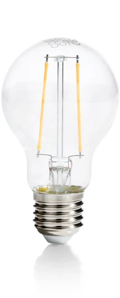 LED bulb E27