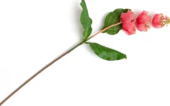 Medinilla Spray kunstbloem H110cm - Oranje