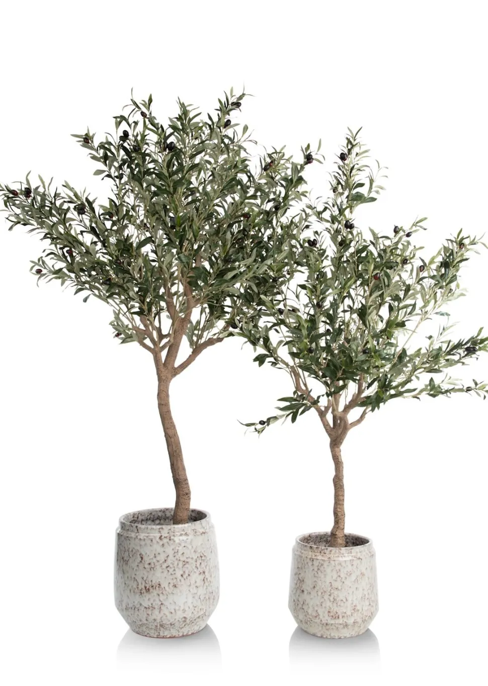 Olive Tree H150cm kunstplant - Groen