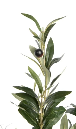 Olive Tree H180cm kunstplant - Groen