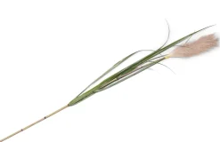 Pampus Grass kunstbloem H120cm - Groen