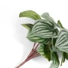 Peperomia Bush H25cm kunstbloem - Groen