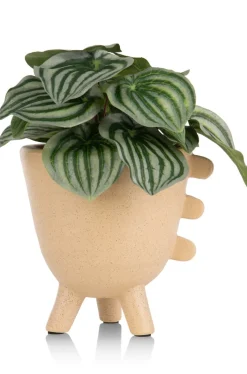 Peperomia Bush H25cm kunstbloem - Groen