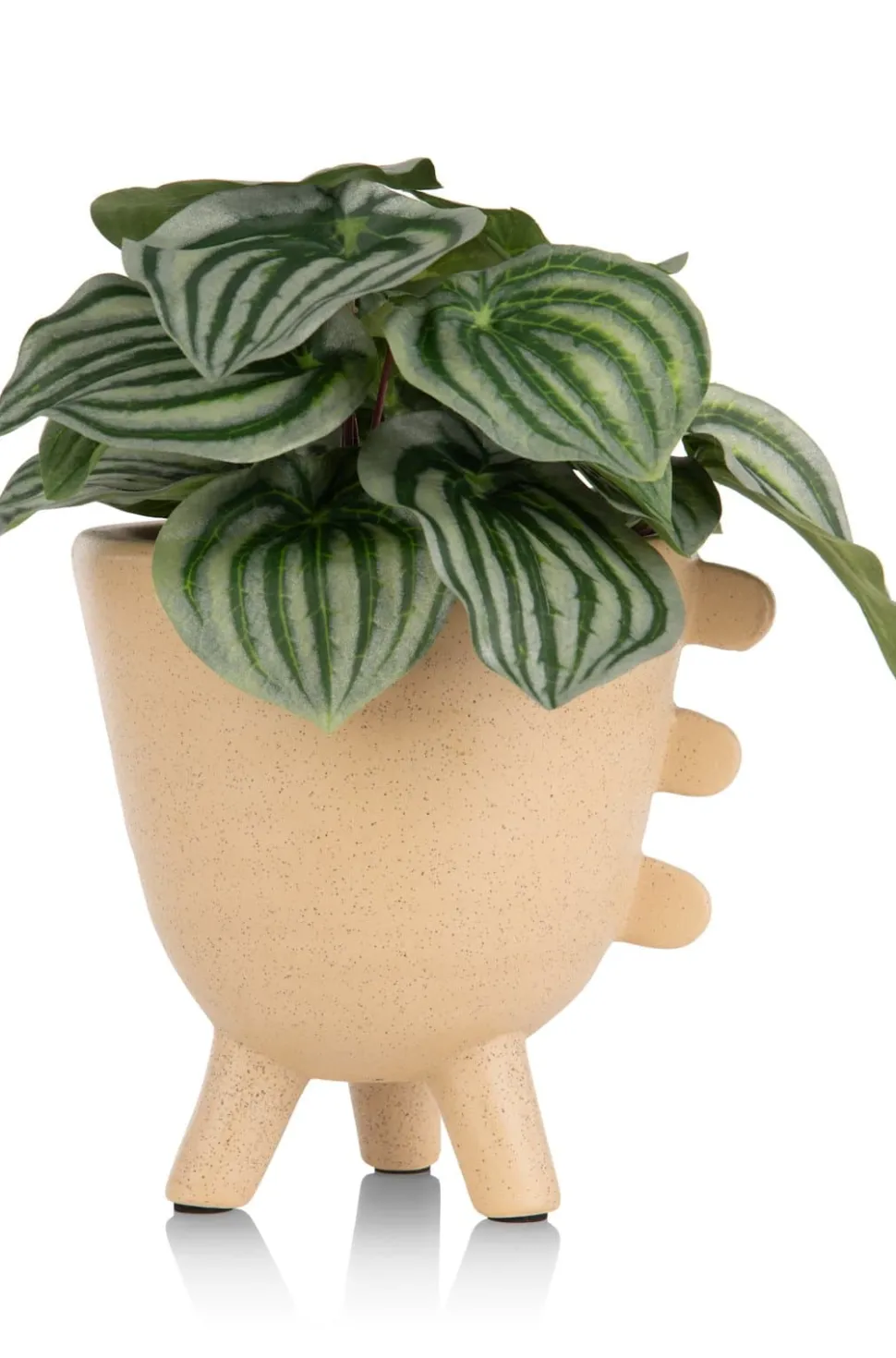 Peperomia Bush H25cm kunstbloem - Groen