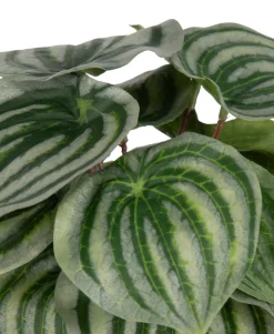 Peperomia Bush H25cm kunstbloem - Groen