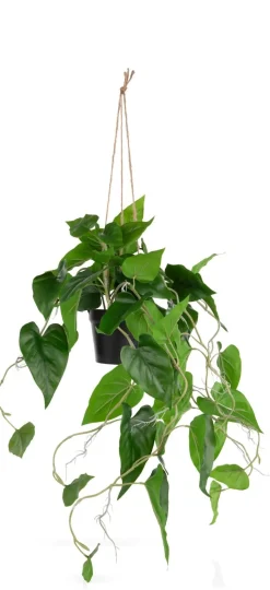 Philodendron Scandens H80cm kunstplant - Groen