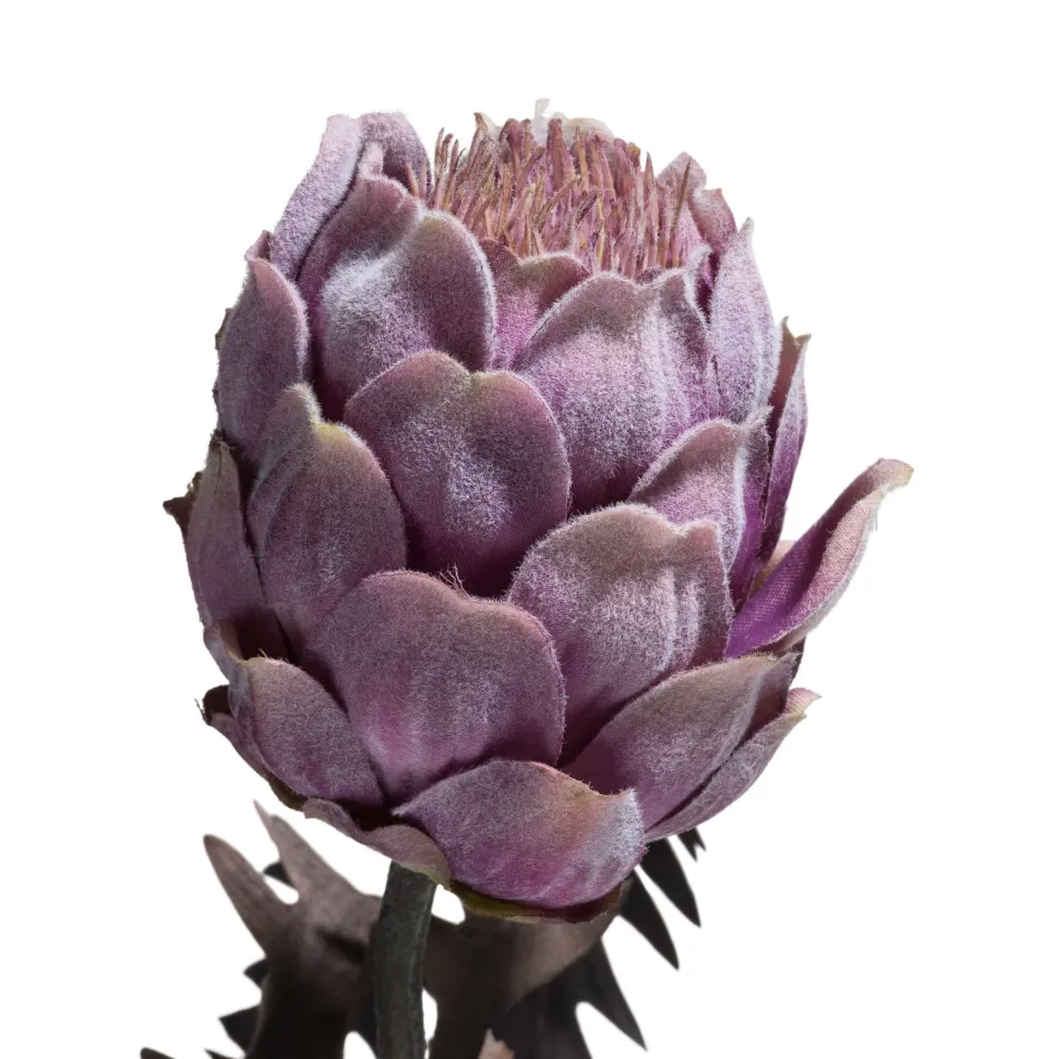 Protea Spray H63cm - Paars
