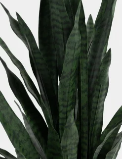 Sansevieria kunstplant H115cm - Groen