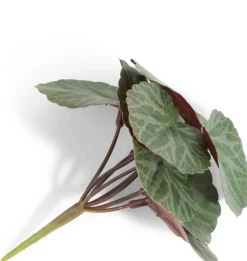 Saxifrage Mini Bush H13cm kunstbloem - Groen