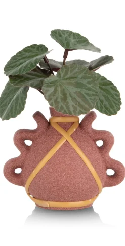 Saxifrage Mini Bush H13cm kunstbloem - Groen