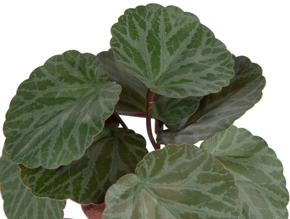 Saxifrage Mini Bush H13cm kunstbloem - Groen